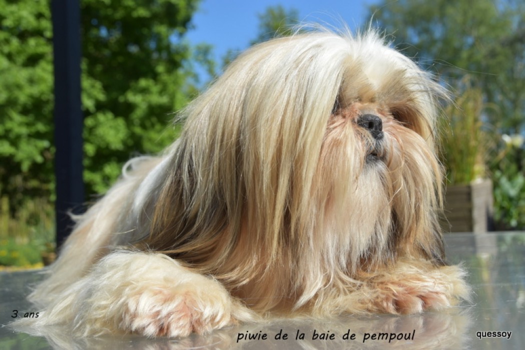 Piwie de la Baie de Pempoul