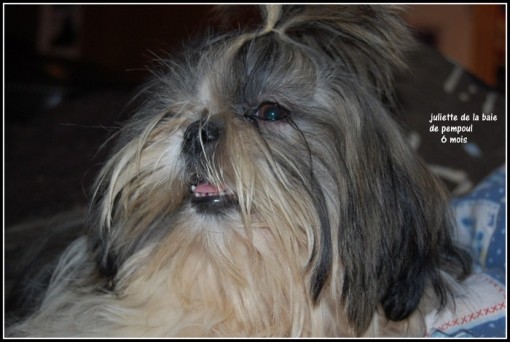 juliette6m 4.jpg