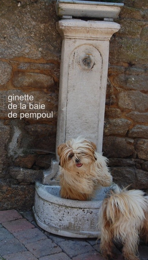ginette1.jpg