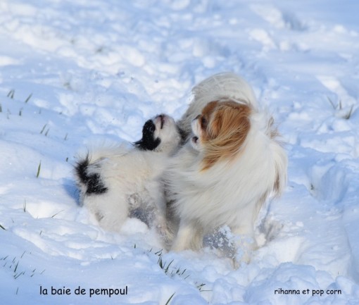 rihanna-neige 11.jpg