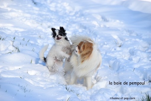 rihanna-neige 12.jpg