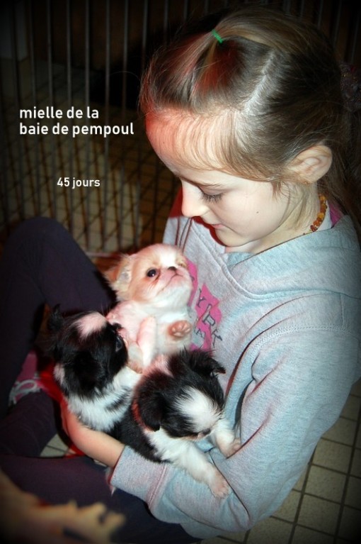 mielle45j 2.jpg