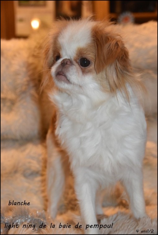 blanche4ans.jpg