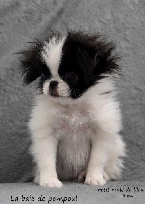 petit3m 3.jpg