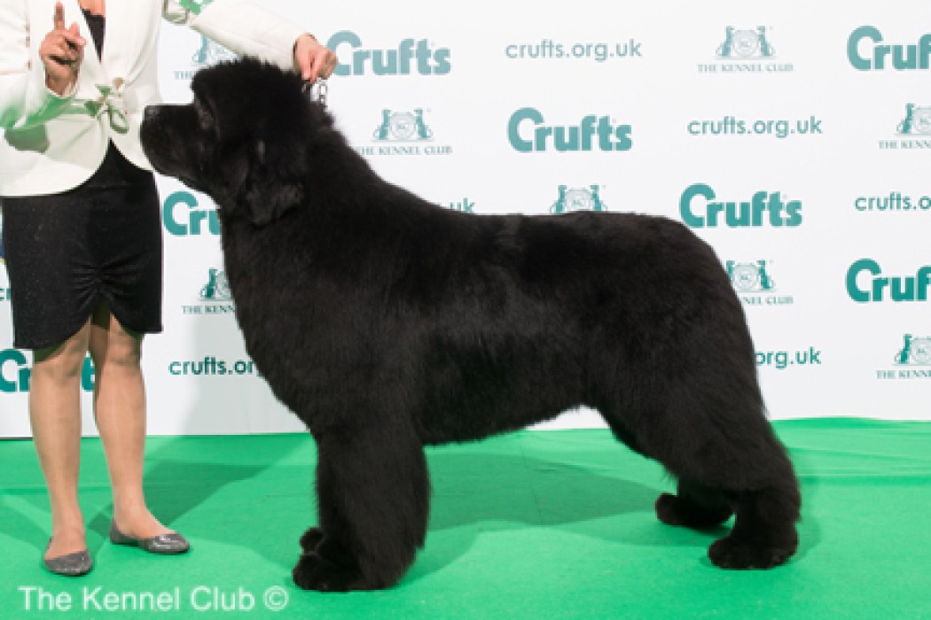 Nirvana de la Baie de Pempoul