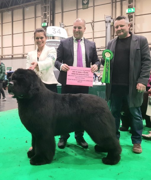 nirvana-crufts-2020_2.jpg