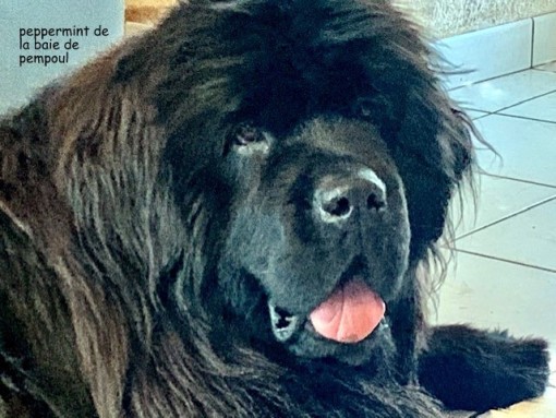 naissancepayper 5.jpg